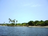 DSC06507